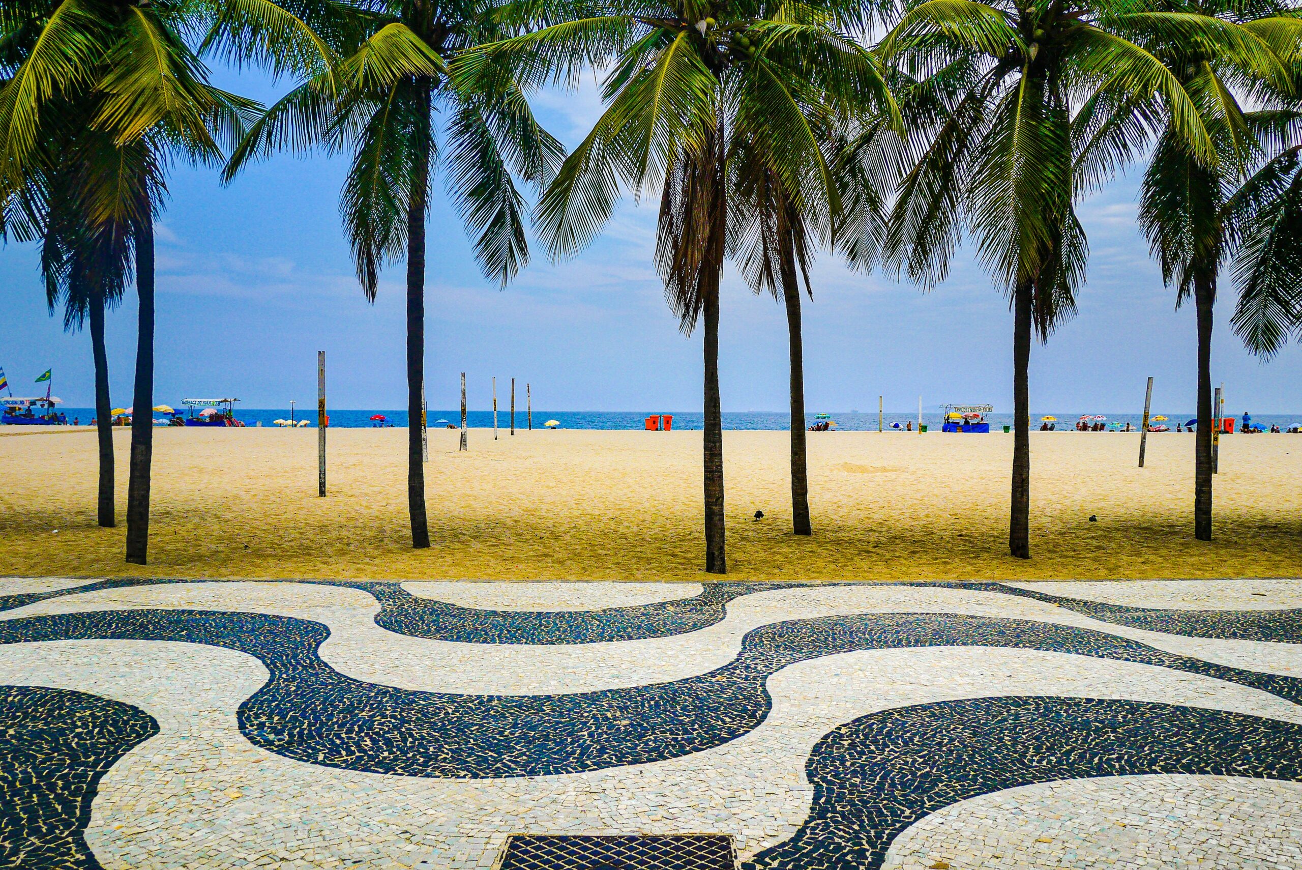 a beach with palm trees